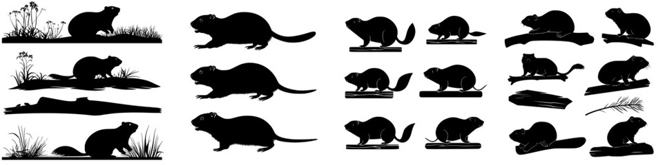 Various silhouettes of beavers in different poses and natural settings outdoors © Andrei