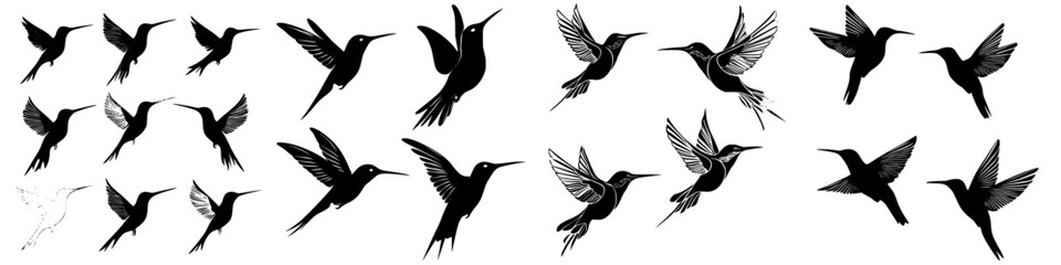 Variety of hummingbird silhouettes in dynamic poses illustrating movement and grace