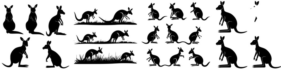 Illustrations of kangaroos in various poses showcasing their movement and behavior in a natural setting