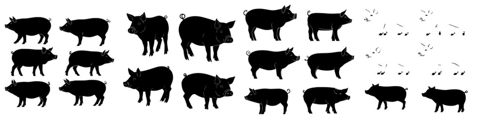 Collection of various pig silhouettes showcasing different poses and angles in a simple black design
