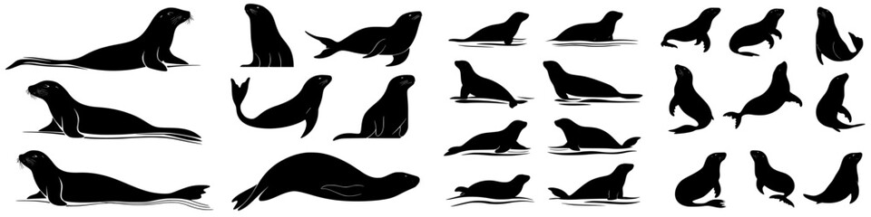 Various silhouettes of seals displayed in different poses and positions against a plain background