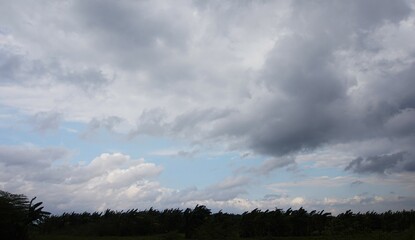 Fototapeta premium sky view in the garden with black clouds, cloudy indicates it will rain