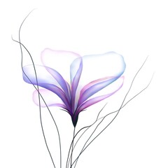 Obraz premium Flowers leaves background illustration art watercolor print art 