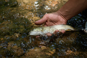 pesca y cebos de pesca