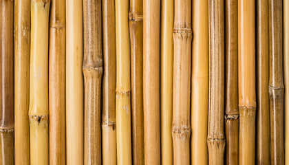 Naklejka premium Bamboo trees pattern part 11