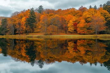 A perfectly symmetrical, mirrored lake surrounded by autumn-colored trees