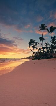 tropical island beach shore with palm trees, color ocean coast sunrise and waves on the sand vertical seascape