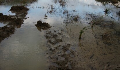 wet and waterlogged ground, after rain