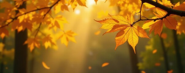 Obraz premium Colorful yellow leaf falls from bare tree branch, autumn, foliage, fall