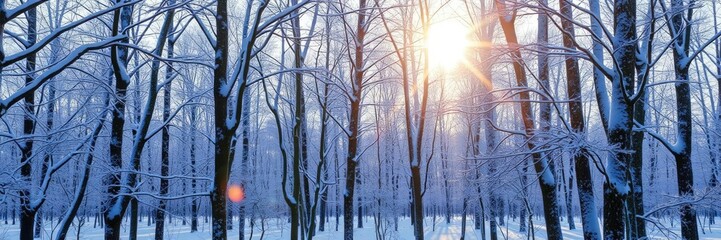 Sunlit branches in a snowy forest with snow-covered tree trunks, landscape, sunlight, forest