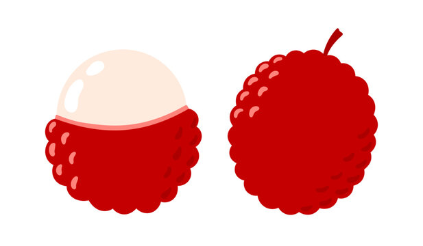 Lychee fruit set. Tropical fruits. Half and whole exotic fruit. Collection of organic vitamins and healthy nutrition. Flat Vector illustration isolated on white background