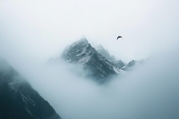 A foggy mountain peak, barely visible through the mist, with a single bird soaring