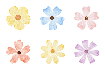 Simple flowers Set. Isolated hand drawn watercolor illustrations of colorful wild flowers. Botanical elements Clipart for invitations cards, wrapping paper, textiles, children's polygraphy
