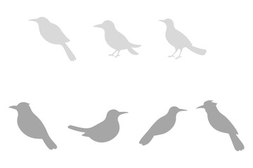 Shrike Bird Silhouette Icon Set