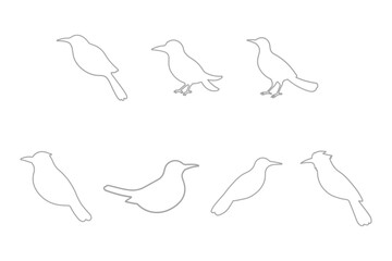 Shrike Bird Outline Icon Set