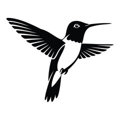 Obraz premium Hummingbird silhouette vector illustration.