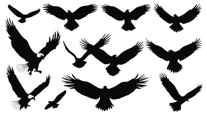 vector silhouettes of birds