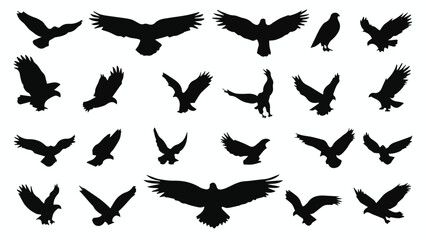 vector silhouettes of eagle birds