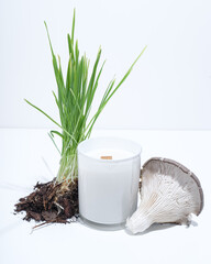 White candle of wax with a wooden wick on a white background, next to grass and mushroom, symbolizing the aroma of a candle