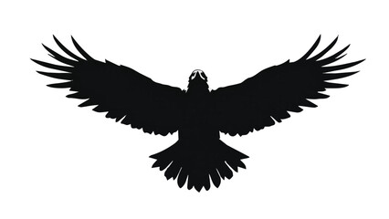 Obraz premium eagle in flight