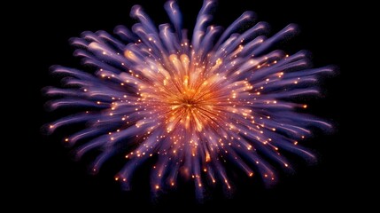 Colorful firework display lighting up the night sky with vibrant bursts and trails of light