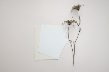 Mockup of blank cards with dried yarrow flowers on beige background; invitations sample design