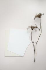 Mockup of blank cards with dried yarrow flowers on beige background; invitations sample design