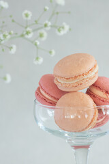 Rose, pastel coloured french macarons on light background in a glass, perfect for St valentines and Mother's day