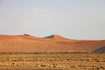 View of desert scenery with dead trees in the foreground, Sossusvlei Namibia
