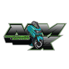 automatic scooter motorcycle custome,initial sport scooter team ,racing team logo