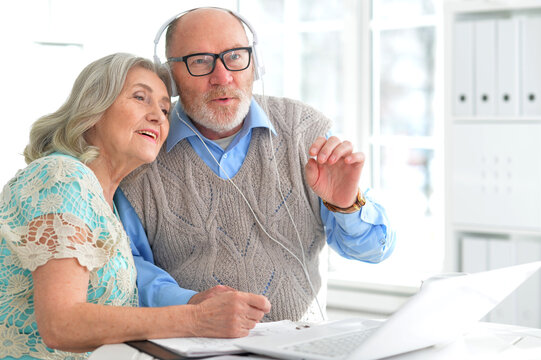Portrait of an elderly couple using a laptop at home