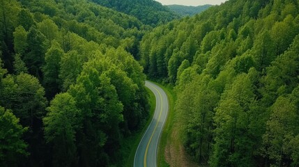 Aerial view of a winding road through a lush forest, featuring a train running alongside, showcasing nature's beauty and transportation harmony.