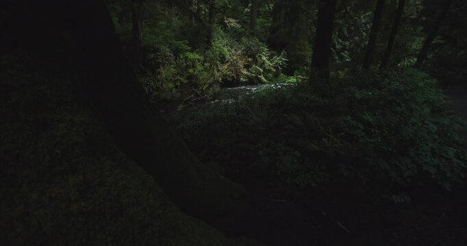 Slow Motion Short Sand Creek in Oregon