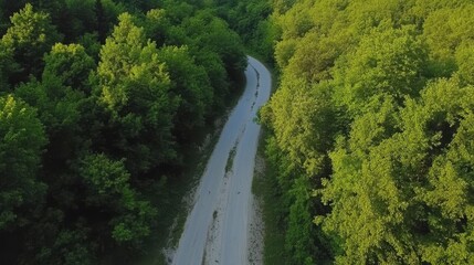 Aerial view showcasing a winding road traversing through a dense and lush forest landscape, highlighting nature's beauty and tranquility.