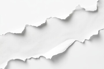 Fototapeta premium Torn white paper background texture, studio shot
