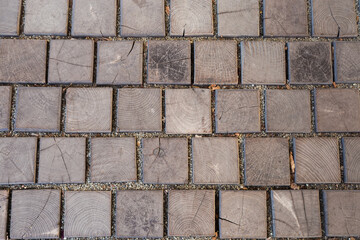 Footpath paved with square wooden logs of transverse cut