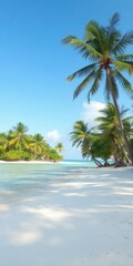 Fototapeta premium Sandy beach with palm trees on a tropical island, turquoise sea in the background, travel, sun, ocean