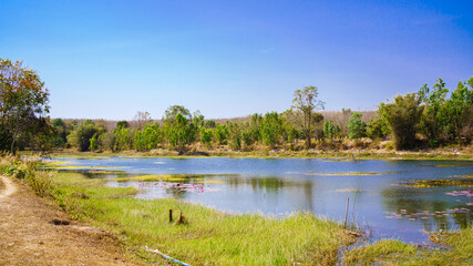 A serene lakeside scene with clear blue skies, lush green trees, and calm water reflecting the surrounding nature. Ideal for nature, travel, and landscape themes.