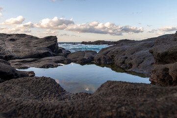城ヶ島の磯の潮溜まり