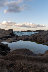 城ヶ島の磯の潮溜まり