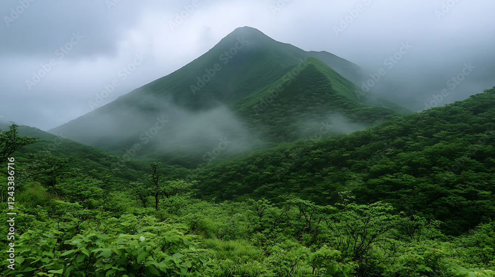 Poster lush green mountains shrouded in mist create a serene and atmospheric landscape under a cloudy sky