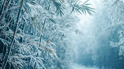 Serene Winter Scene with Snow-Covered Bamboo in a Foggy Forest