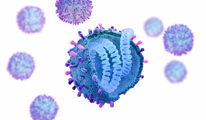 Respiratory syncytial virus (RSV) with its envelope proteins, nucleocapsid and the RNA inside. The RSV virus can cause respiratory infections. 3d illustration.