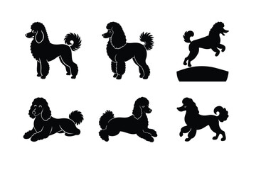 Poodle dog silhouette set isolated on white vector