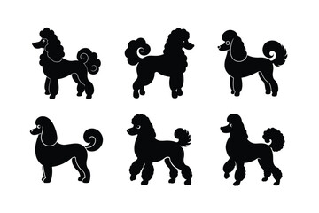 Poodle silhouette design bundle on white background