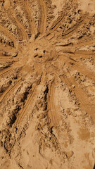 Sunlight casting golden shadows across sandy beach, tire tracks radiating outward like abstract solar patterns marking human presence