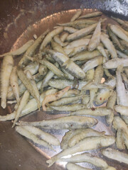 Close up of freshly prepared fried fish, showcasing their crispy texture and golden color, captured in bibione, italy during july