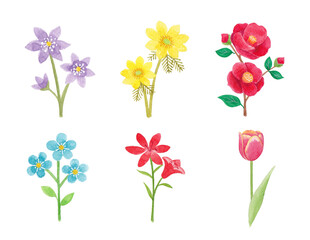 Watercolor flower hand drawing illustration