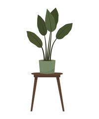  Houseplant in flower pot. Green indoor potted plant in flowerpot. Home decor and urban jungle. Flat vector illustration