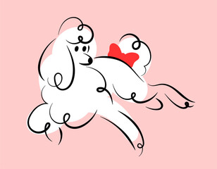 Illustration of a white poodle in hand-drawn style. Cute girly print for t-shirt
